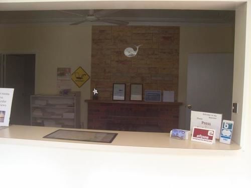 Bayview Motor